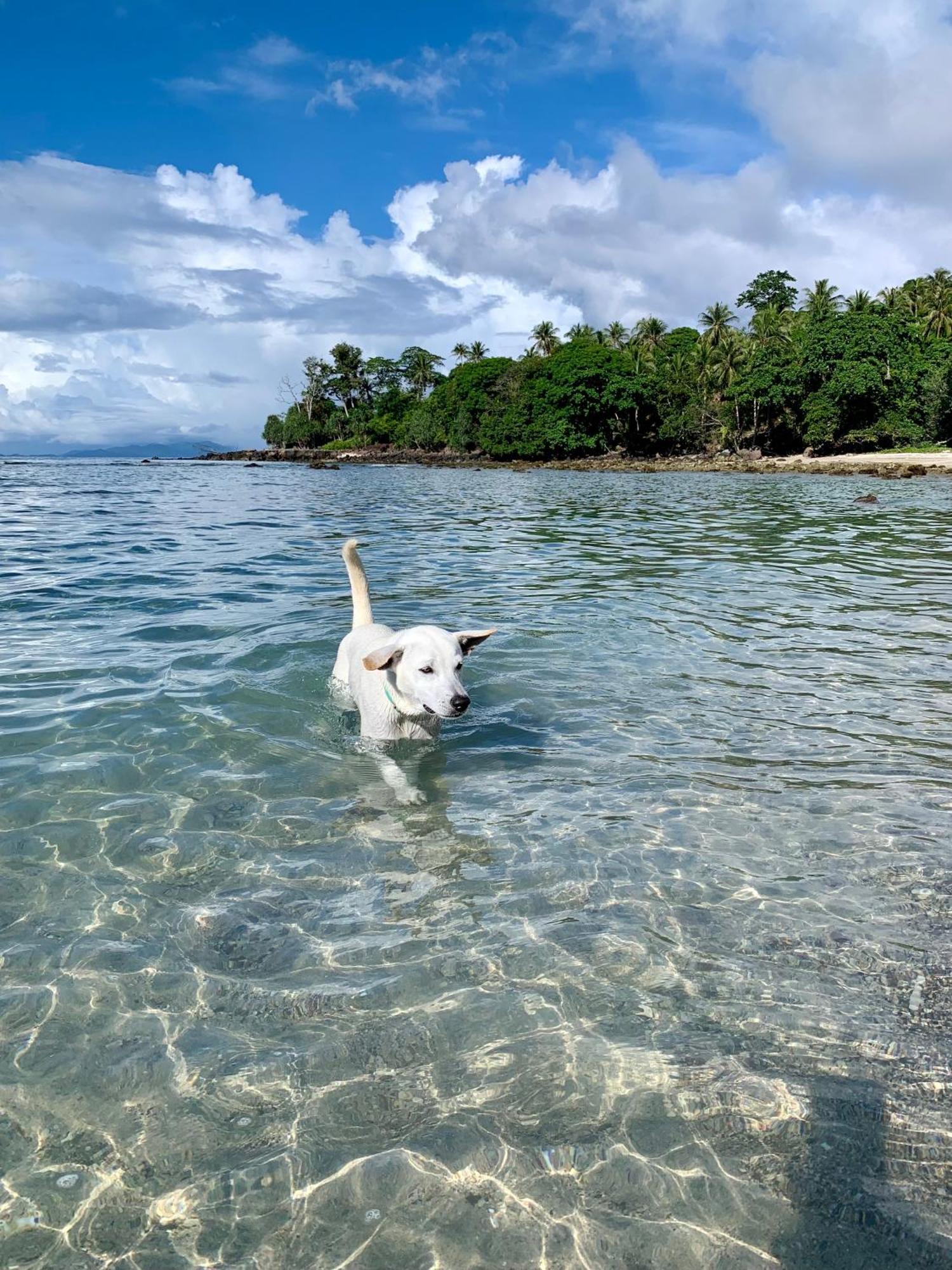 Sunset Beach Resort Weh Sabang  Eksteriør billede